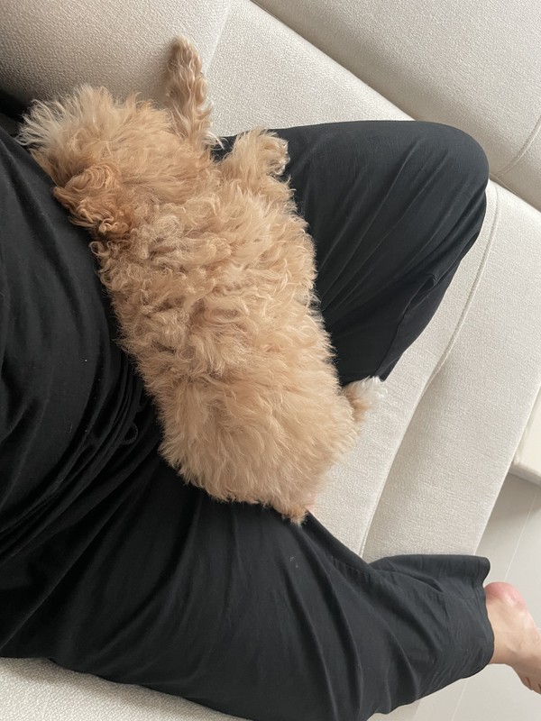 혼자 있기 싫어하는 꼬비