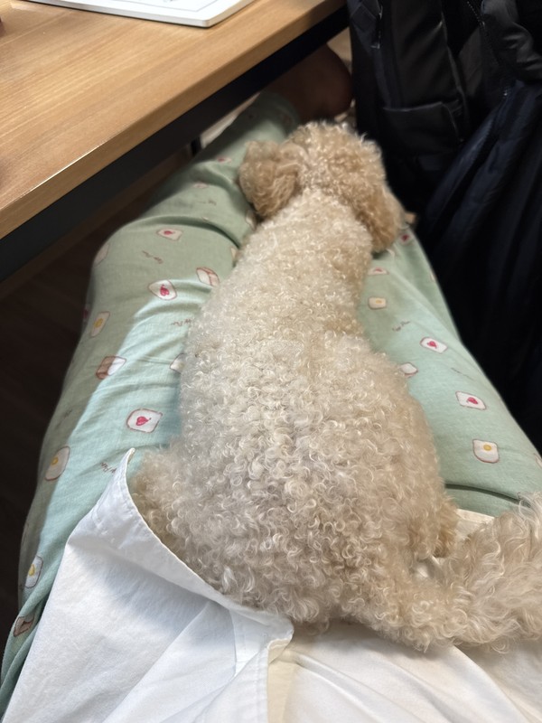 꼬비의 따뜻한 체온