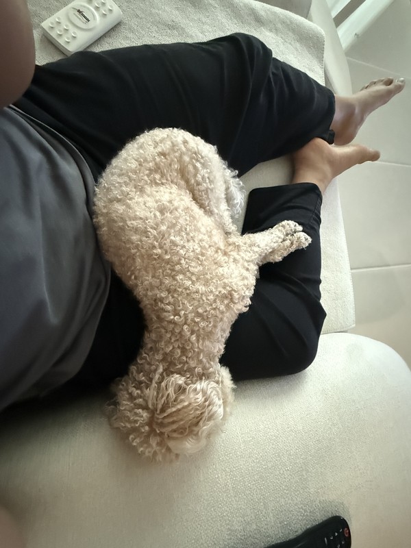소파에서 함께