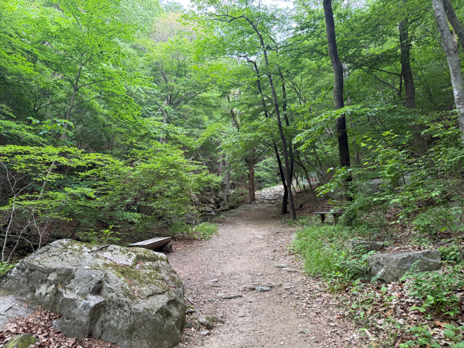 image 04