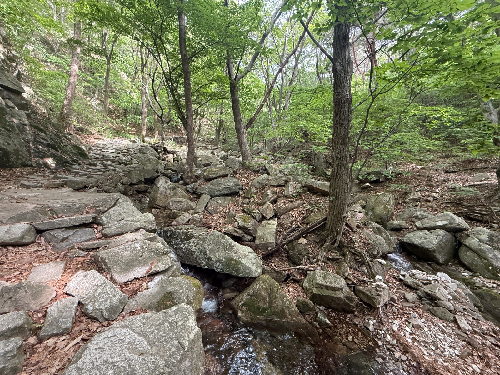 image 05