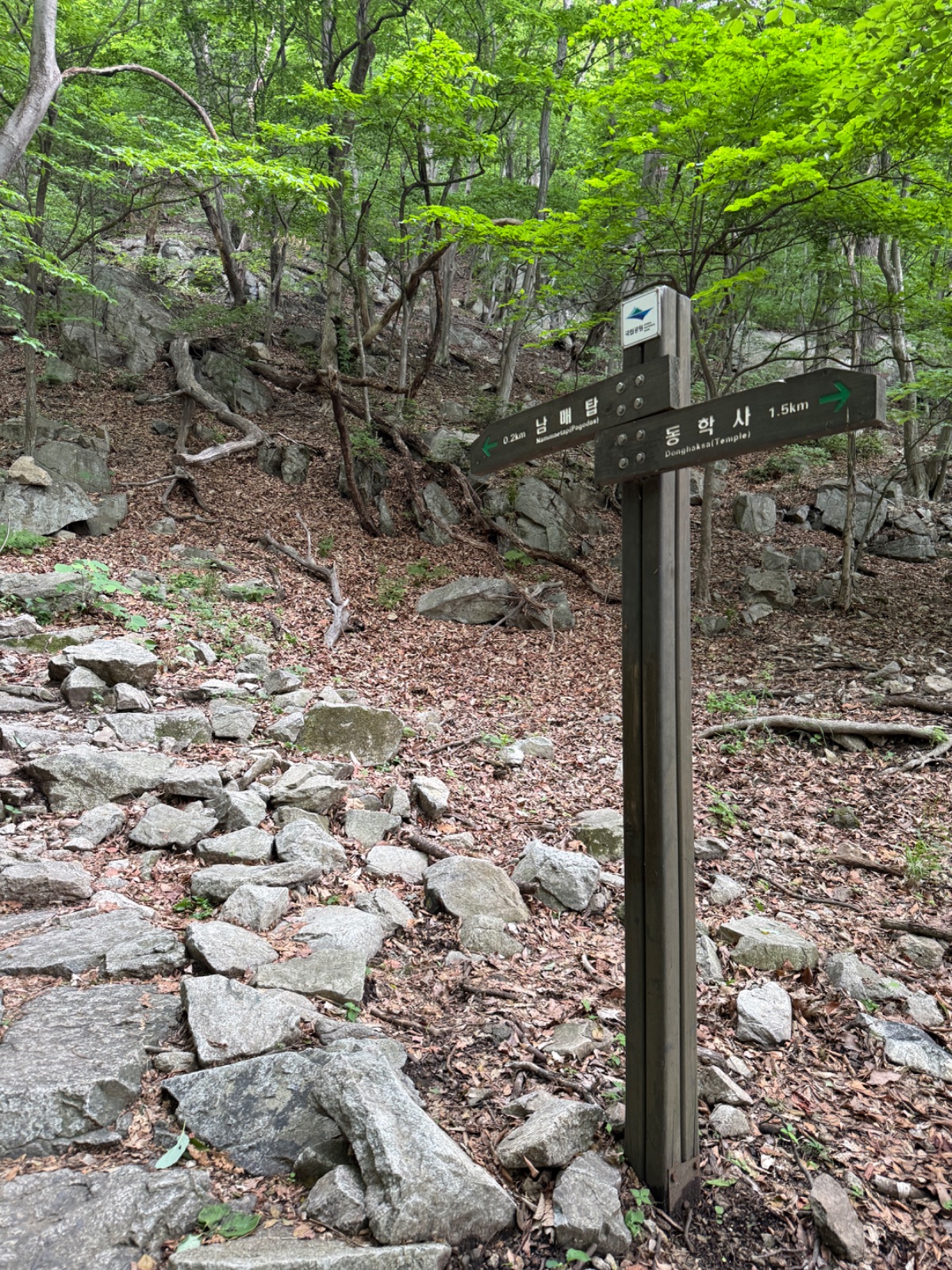image 06