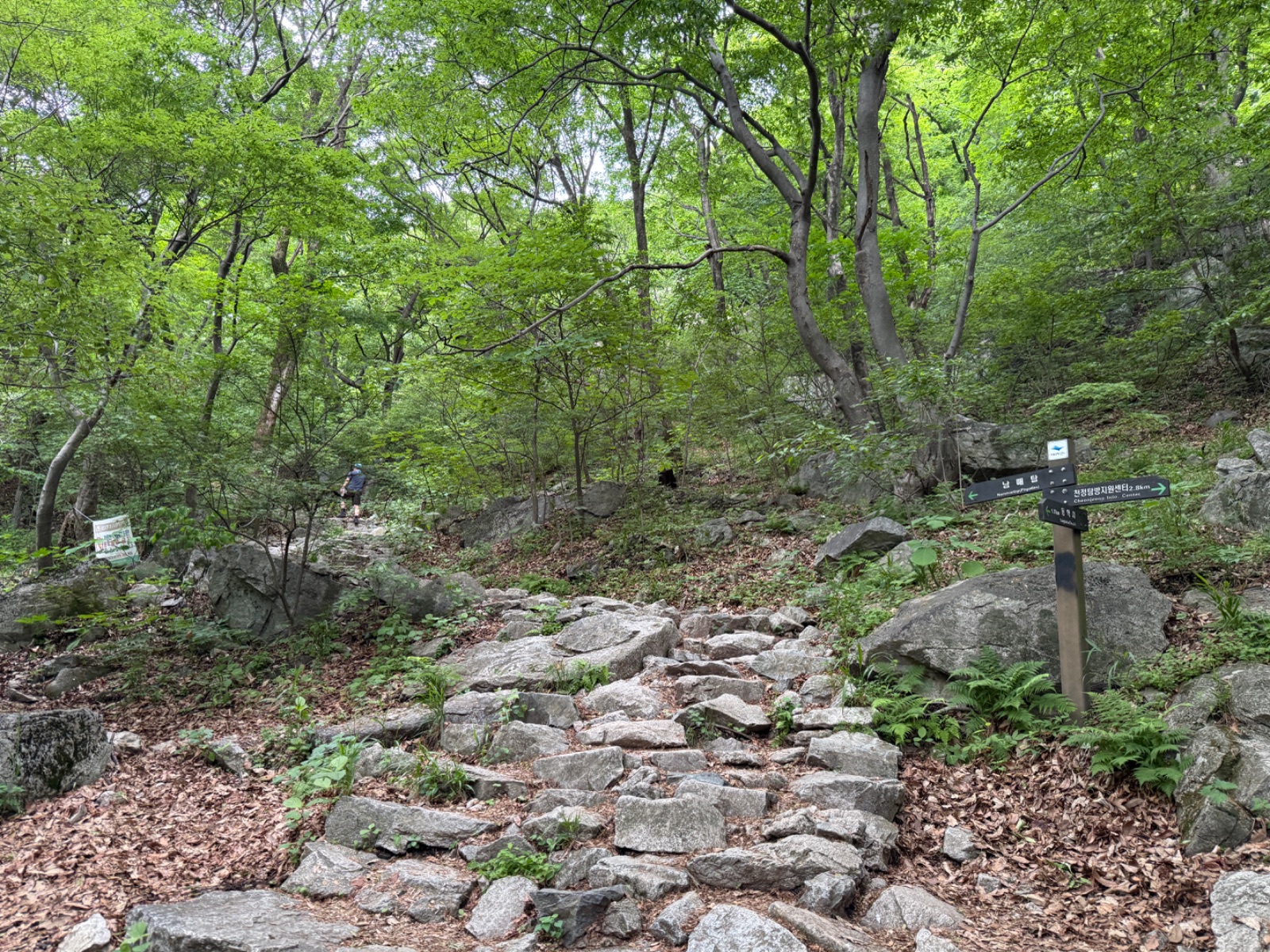 image 07